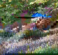 Macquariedale Organic Wines - Accommodation Rockhampton