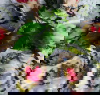 Bella Char Restaurant  Wine Bar