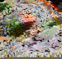 I Sushi - Eaton - Accommodation Rockhampton