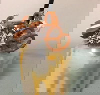 Where Ya Bean - Accommodation Rockhampton