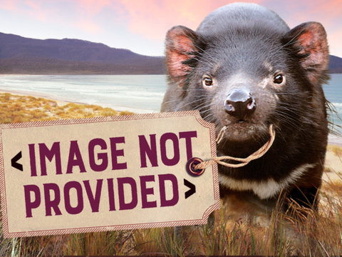 Earthy Eats - Accommodation Rockhampton 0