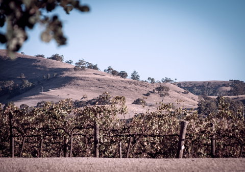 Liebichwein - Accommodation Rockhampton 2
