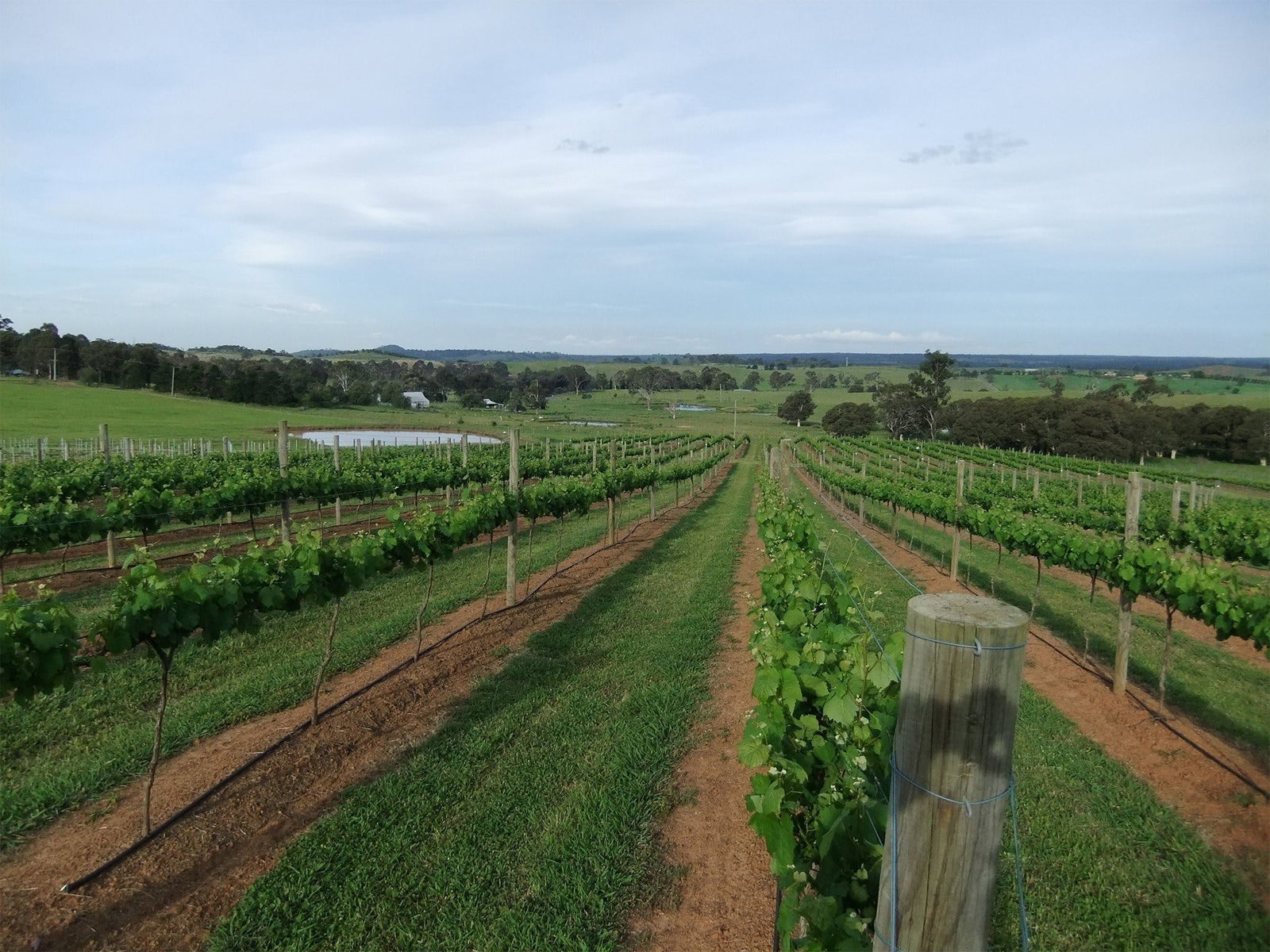 Menangle NSW Accommodation Rockhampton