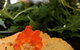 St. Albi Bar & Eatery - thumb 0