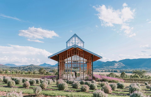 Kooroomba Vineyard And Lavender Farm - Accommodation Rockhampton 0