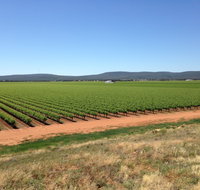 Melange Wines - Accommodation Rockhampton