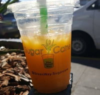 Monkey Cane - Accommodation Rockhampton