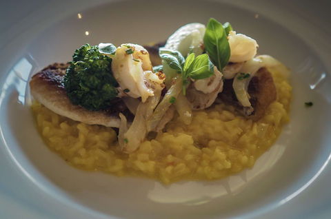 The Cowrie - Accommodation Rockhampton 0