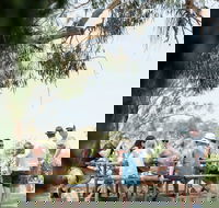 St Leonards Vineyard Caf - Accommodation Rockhampton