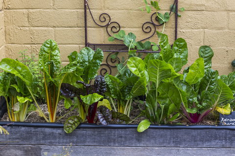 A Bite To Eat - Accommodation Rockhampton 1