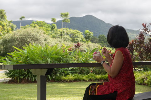 Daintree Ice Cream Company - Accommodation Rockhampton 1