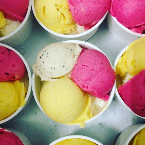 Daintree Ice Cream Company - Accommodation Rockhampton 2