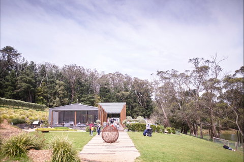 Green Olive At Red Hill - Accommodation Rockhampton 1