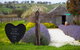 Hart Of The Barossa - thumb 0