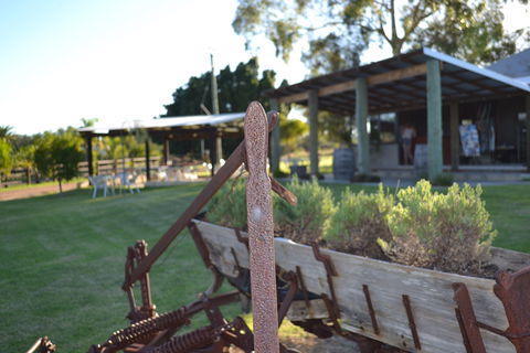 Ugly Duckling Wines - Accommodation Rockhampton 0