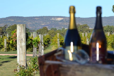 Ugly Duckling Wines - Accommodation Rockhampton 1