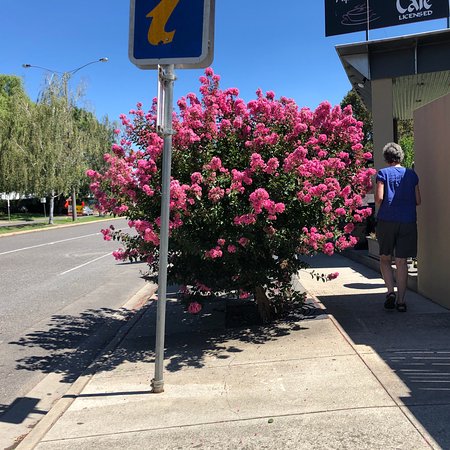Alpine Gate Cafe - Accommodation Rockhampton 0
