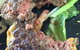 Dragonfly Cafe - thumb 1