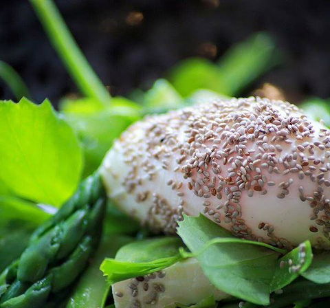 GPO Hotel - Accommodation Rockhampton 5