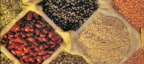 Namaste Indian Cuisine Young - Accommodation Rockhampton 1