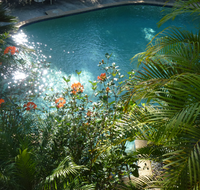 Avoca Beach Hotel - Accommodation Rockhampton
