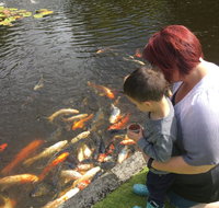 Ramon's at Willow Pond - Accommodation Rockhampton