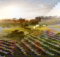 Sandalford Restaurant - Accommodation Rockhampton