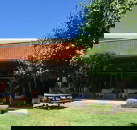 Wild Swan - Accommodation Rockhampton