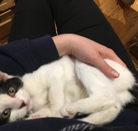 MeowMe Cafe - Accommodation Rockhampton
