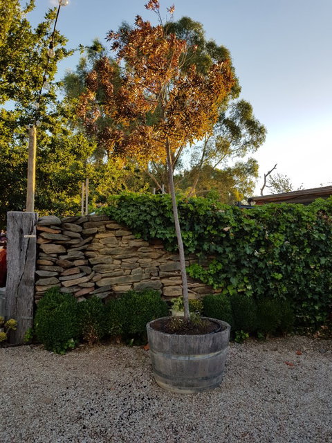 Barristers Block Cellar Door - Accommodation Rockhampton 7