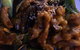 Black Curry Asian Kitchen - thumb 4