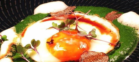 Aquavue Cafe Watersports - Accommodation Rockhampton 2
