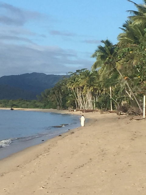 Newell Beach Takeaway And Cafe - Accommodation Rockhampton 2
