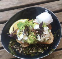 Shifty Chevre - Accommodation Rockhampton