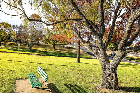 Comfort Inn City Centre Armidale - Accommodation Rockhampton 17
