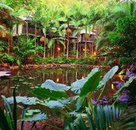 Daintree Eco Lodge  Spa - Accommodation Rockhampton