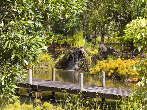 Cedar Park Rainforest Resort - Accommodation Rockhampton 0