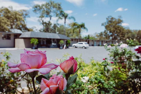 Artesian Spa Motor Inn - Accommodation Rockhampton 2