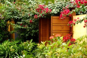 Pink Flamingo - Accommodation Rockhampton 0