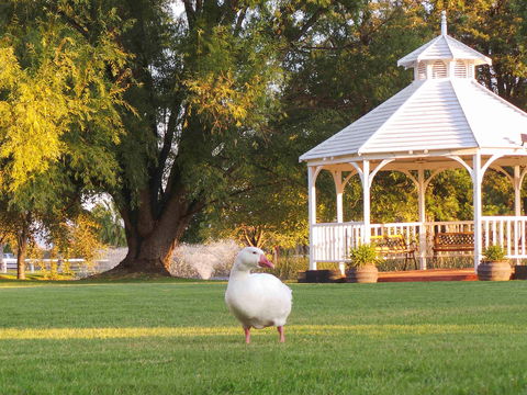 Parklands Resort & Conference Ctr - Accommodation Rockhampton 1
