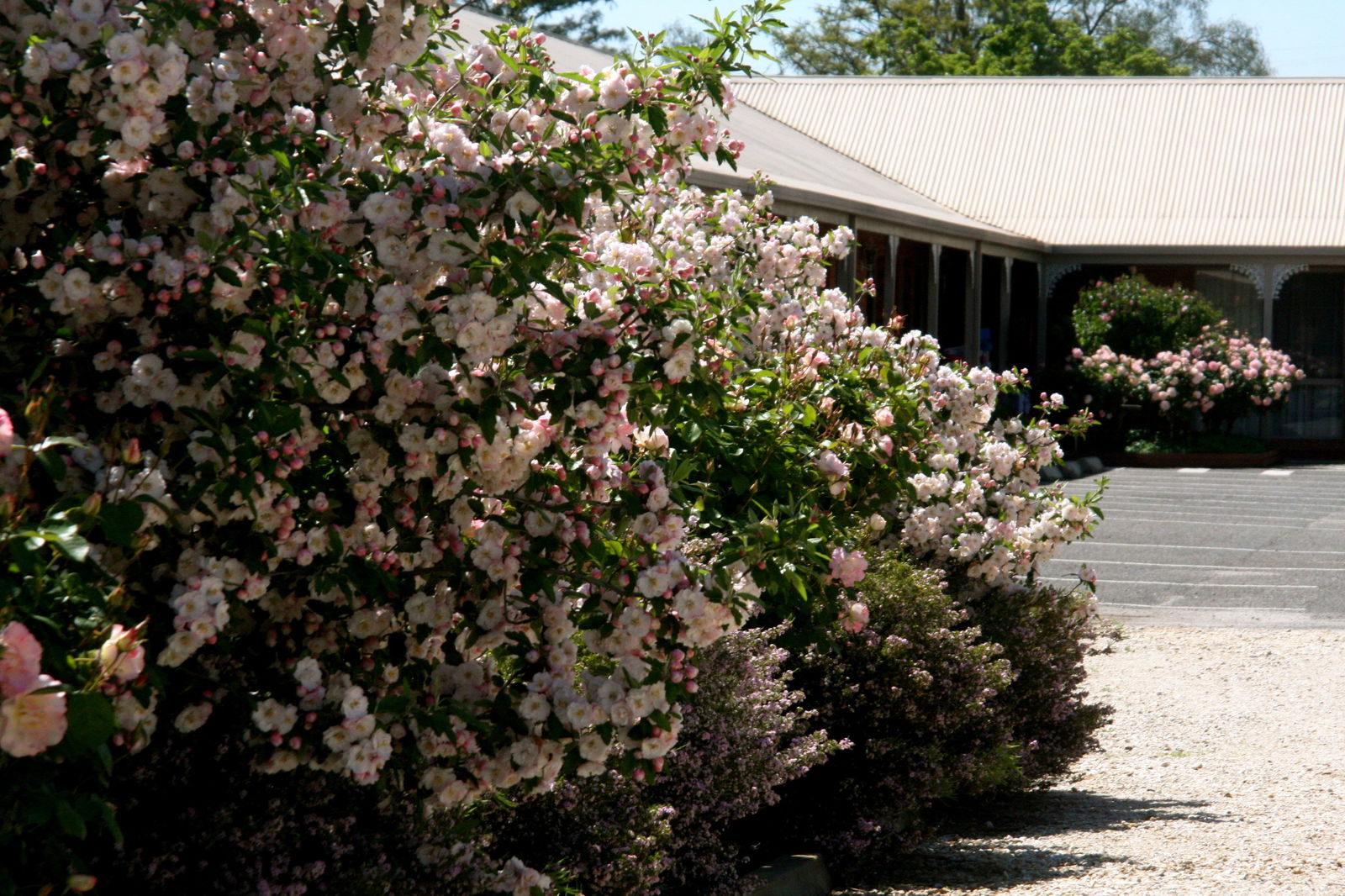 Brimin VIC Accommodation Rockhampton