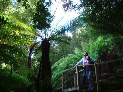 Huon Bush Retreats - Accommodation Rockhampton 1