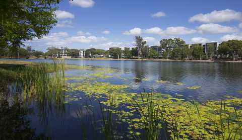 Itara & Jacana Apartments - Accommodation Rockhampton 2