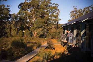 Cradle Mountain Wilderness Village - Accommodation Rockhampton 2