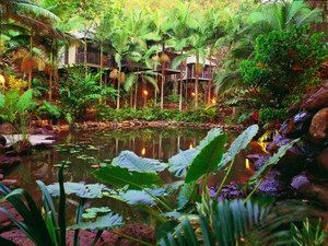 Daintree Eco Lodge & Spa - Accommodation Rockhampton 0