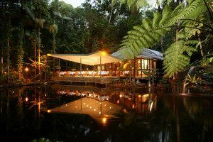 Daintree Eco Lodge & Spa - Accommodation Rockhampton 2