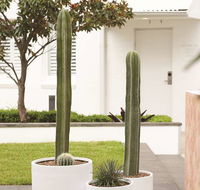Adina Apartment Hotel Chippendale - Accommodation Rockhampton