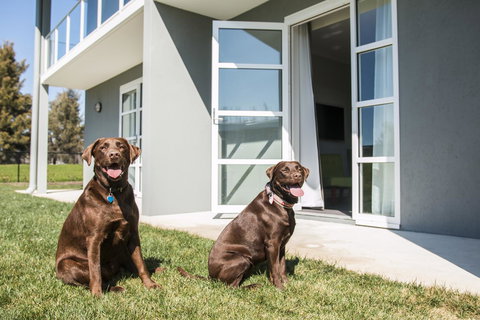 Abode Narrabundah - Accommodation Rockhampton 20