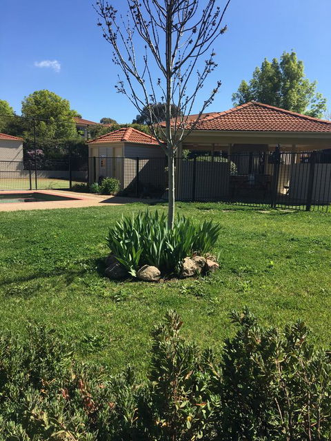 Finches Canberra - Accommodation Rockhampton 29