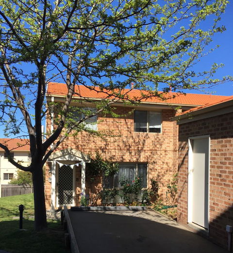 Finches Canberra - Accommodation Rockhampton 8